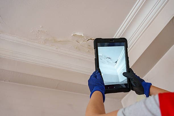 Peel Ceilings cover