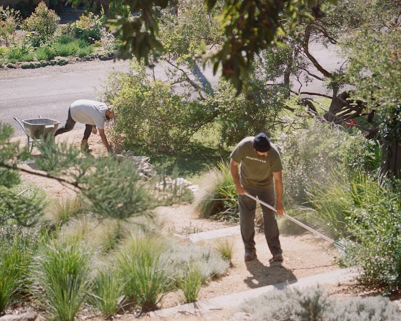 Perimeter Landscaping project 2