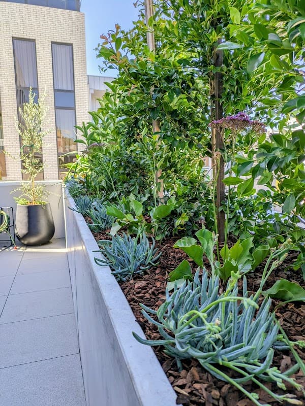 Perimeter Landscaping project 4