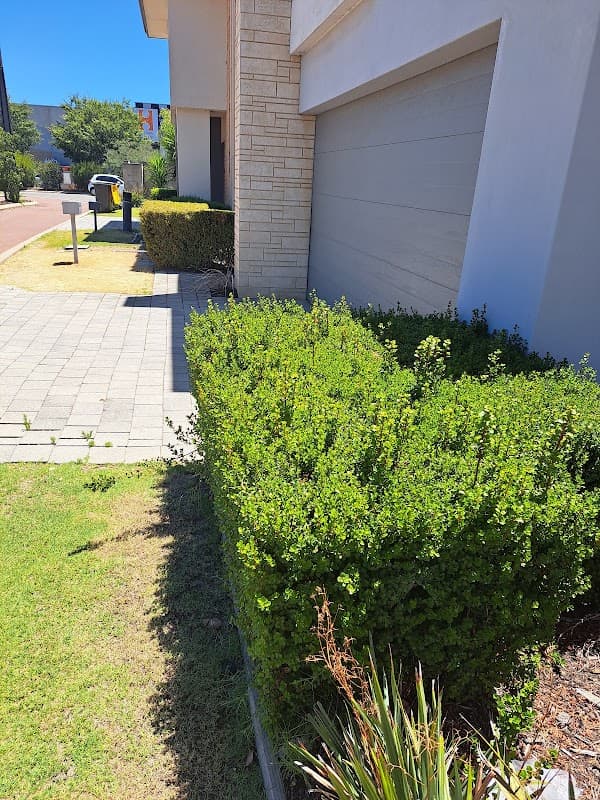 Perth Gardening Experts cover