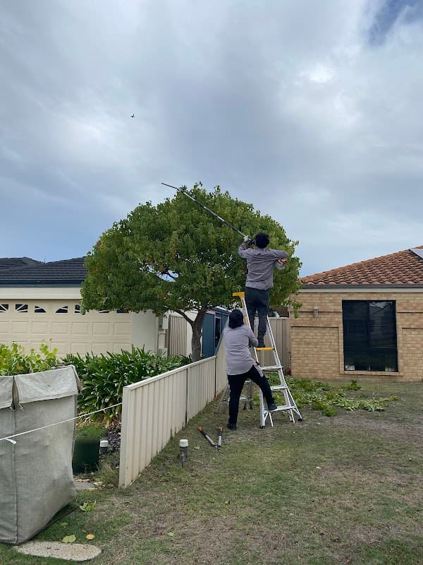 Perth Gardening Experts project 3