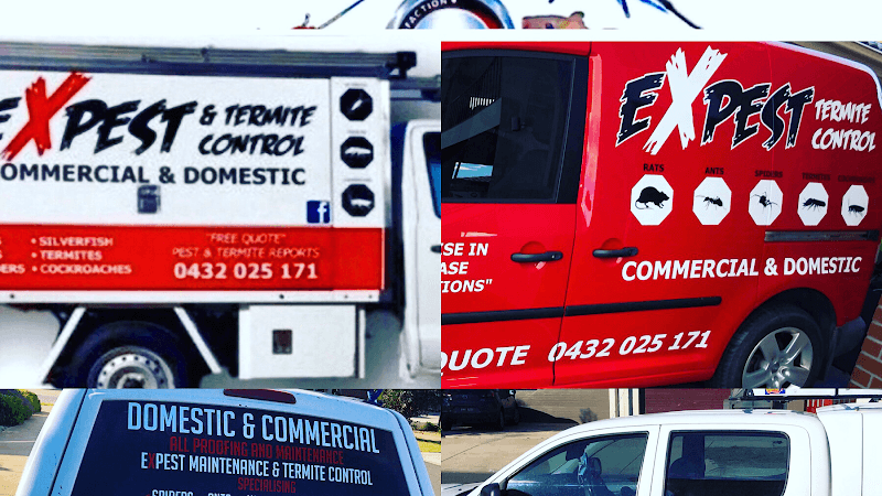 Pest Control Melbourne Ex Pest And Termite Control project 2