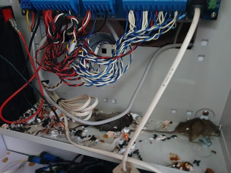 Pest Control Melbourne Ex Pest And Termite Control project 4