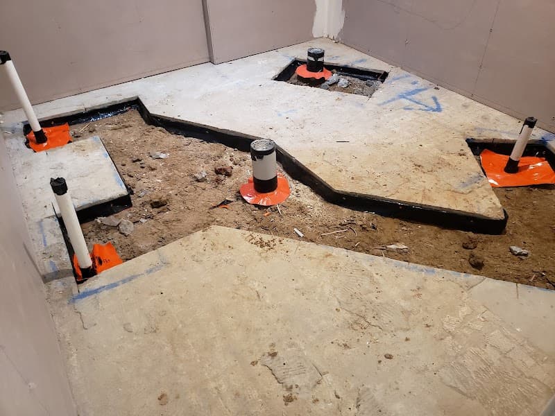 Pest Proofing Solutions project 3