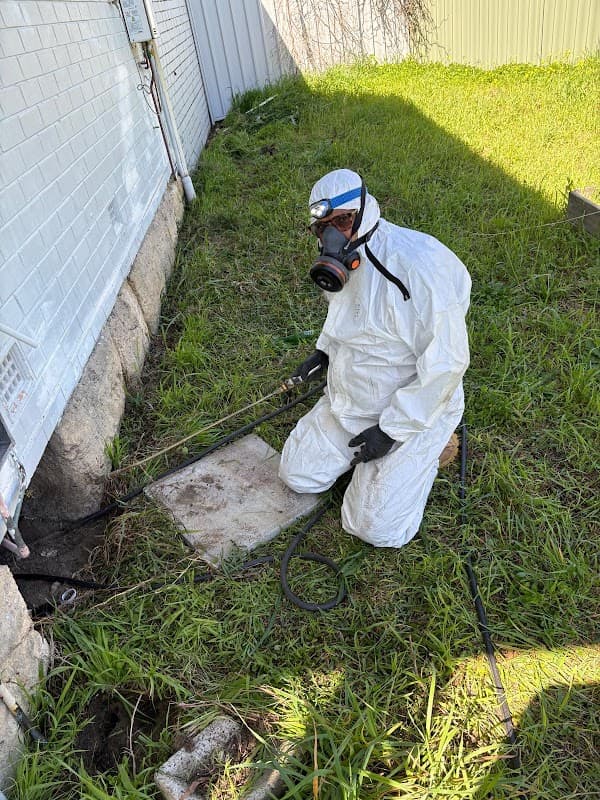 Pest Relief project 5