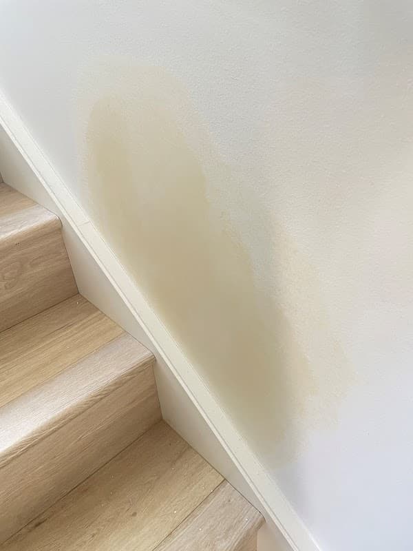 Plastering Patch and Repair Service project 6