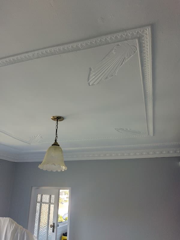 Plume Elite Painting & Decorating project 4