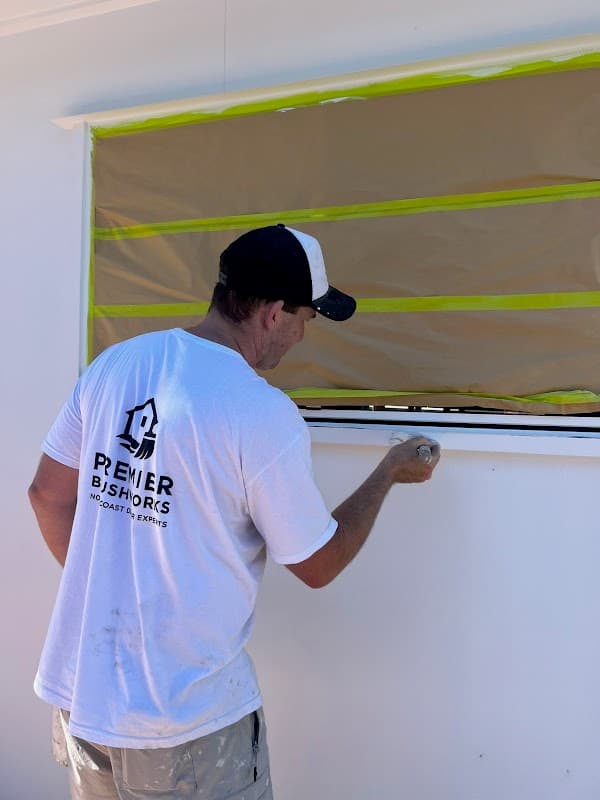 Premier Brushworks project 1