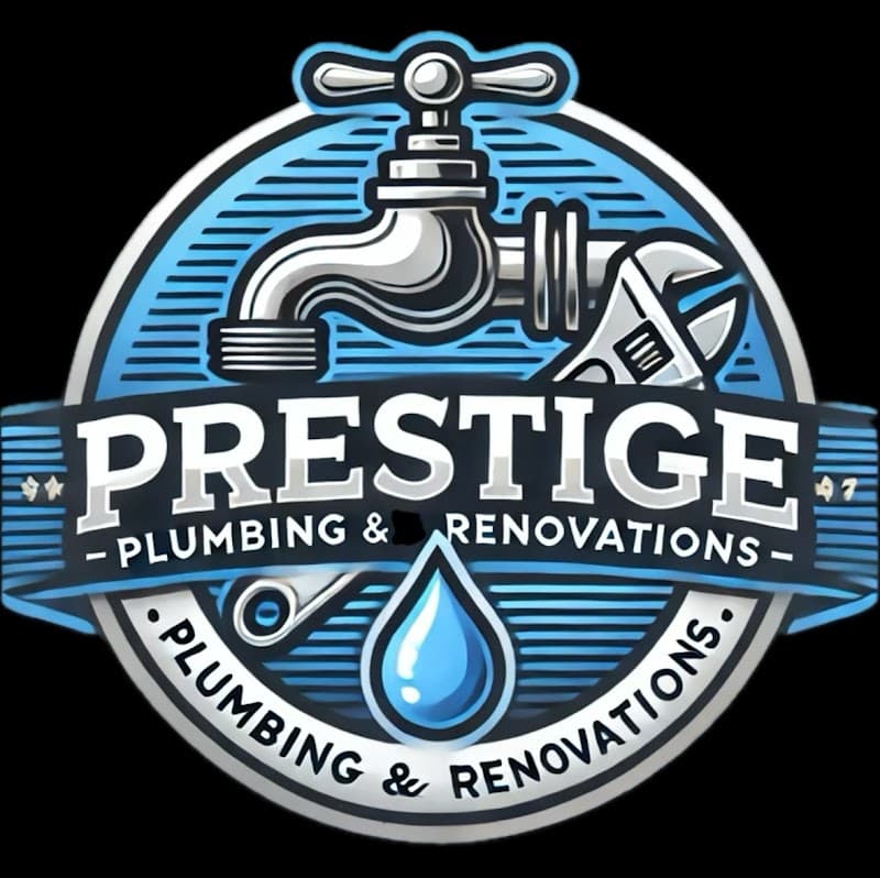 Prestige Plumbing & Renovations project 2