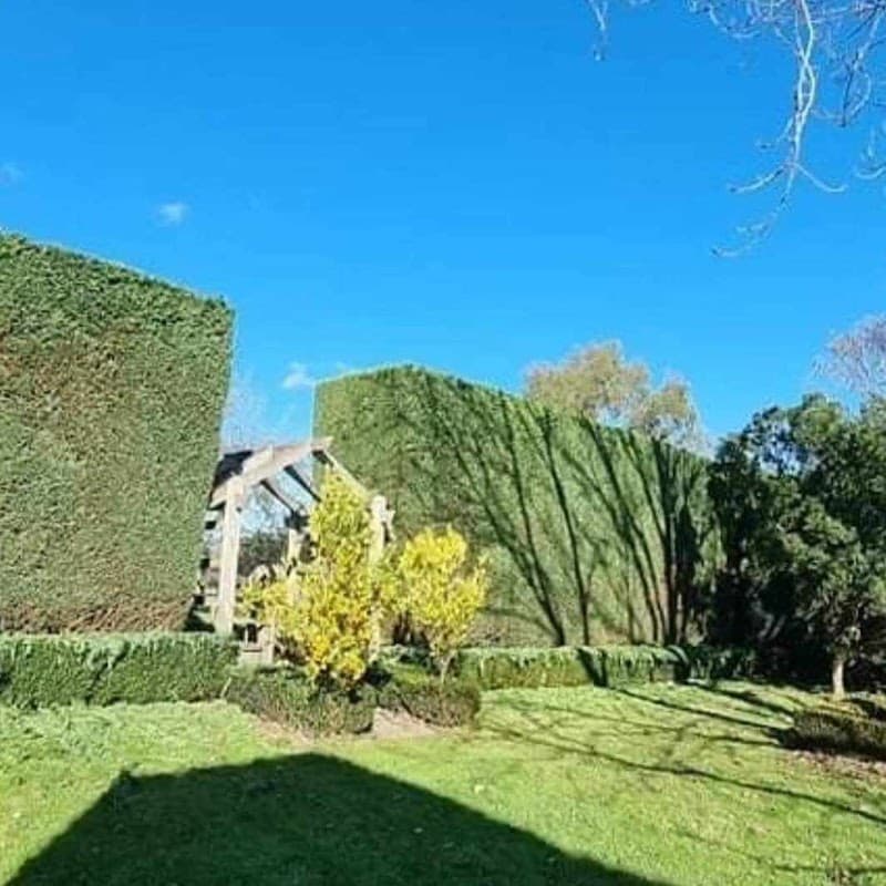 Prime Gardens | Landscaping & Gardening Services Eastern and Surrounding Suburbs Melbourne project 3