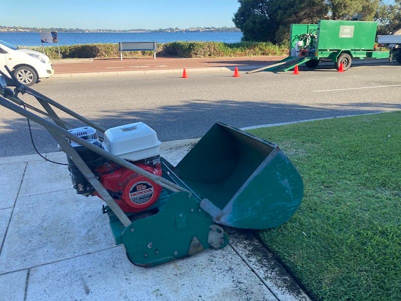 Pro Care Lawns & Gardens project 3
