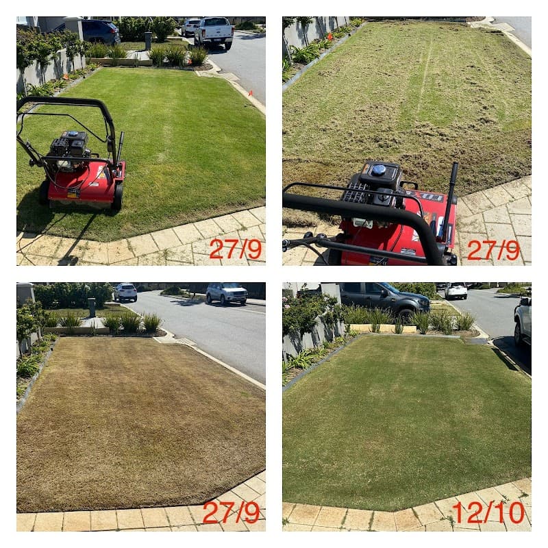 Pro Cut Turf Care project 1