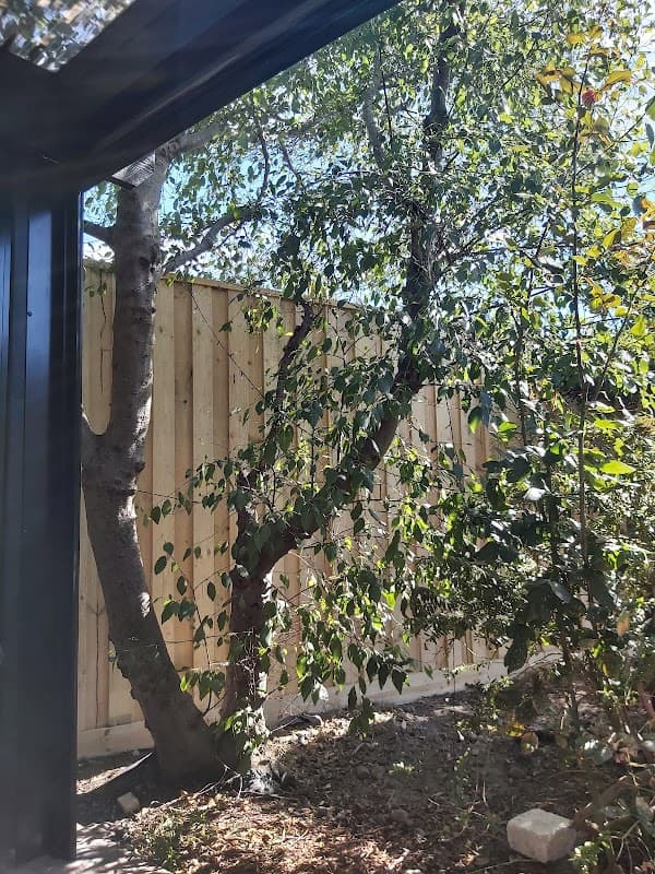Progressive Fencing & Timber Co Pty Ltd project 6