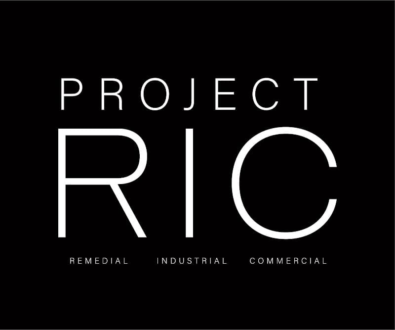 Project RIC project 2