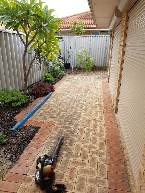 Property Care Guys project 4