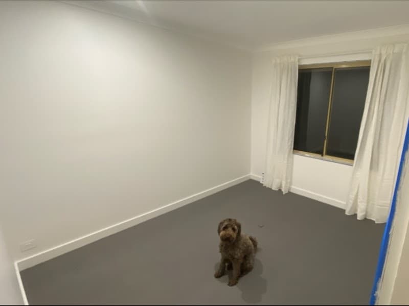 Quintero's Painting Company project 6