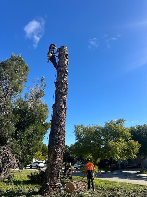Real Tree Solutions cover