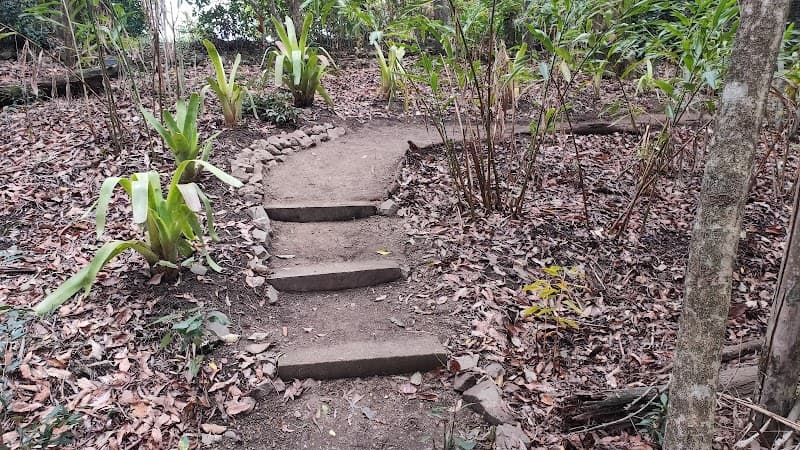 Refined Gardens and Landscaping