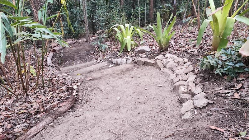 Refined Gardens and Landscaping project 4