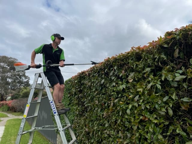 Reliable Garden Services ACT project 1