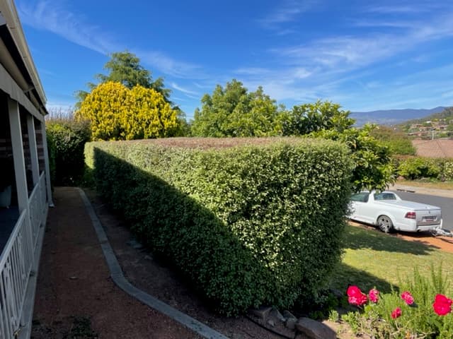Reliable Garden Services ACT project 4
