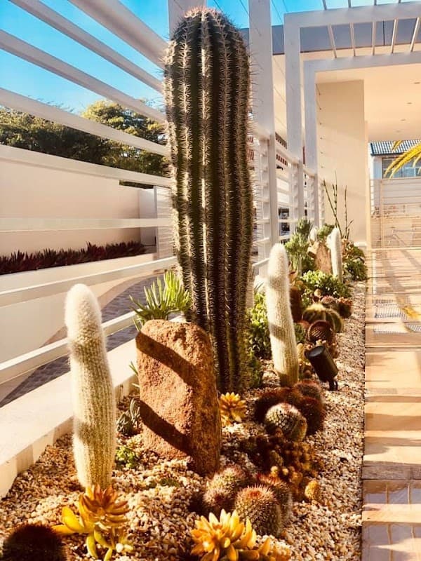 Reserve Landscape Architecture & Construction project 3