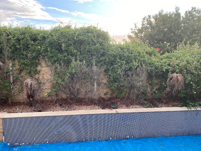 Reticulation & Landscaping Expert project 4