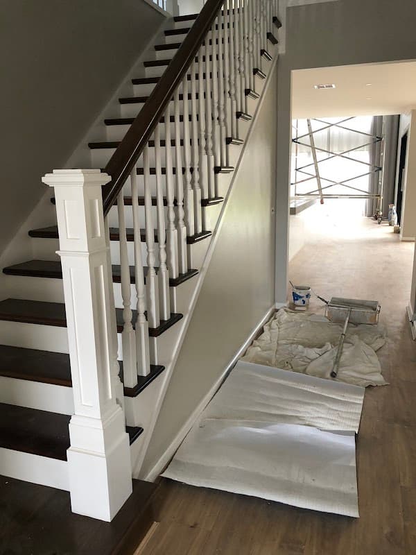 Rex Painting Services Pty ltd cover