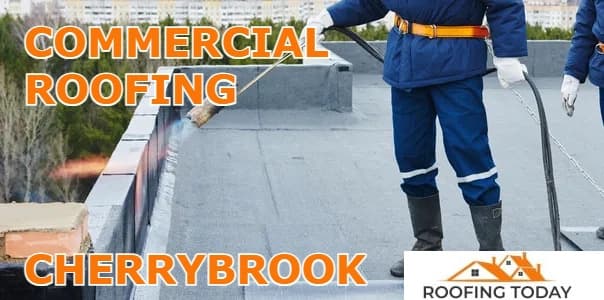 Roofing Today of Cherrybrook project 1