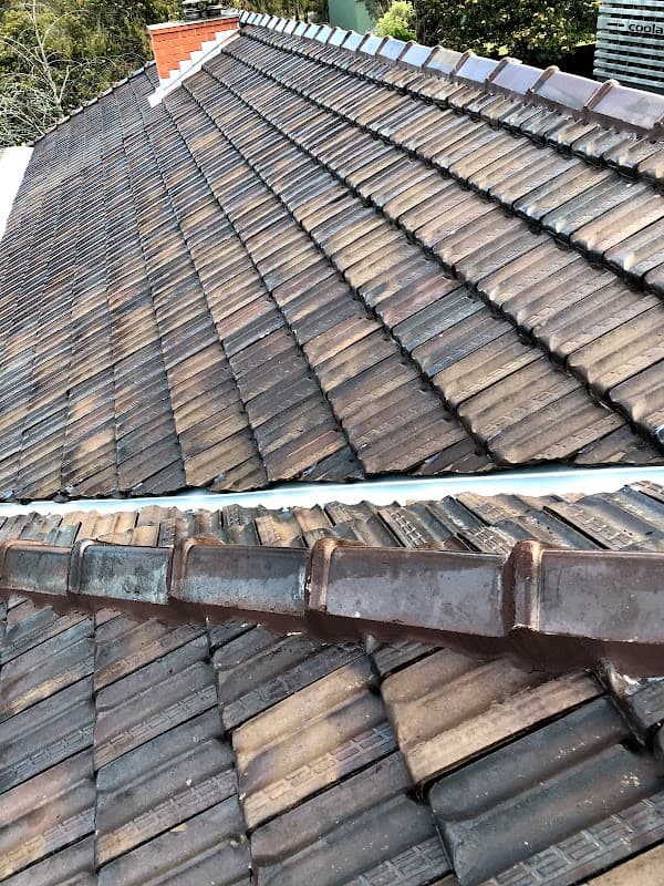 Ross the Roofer project 2