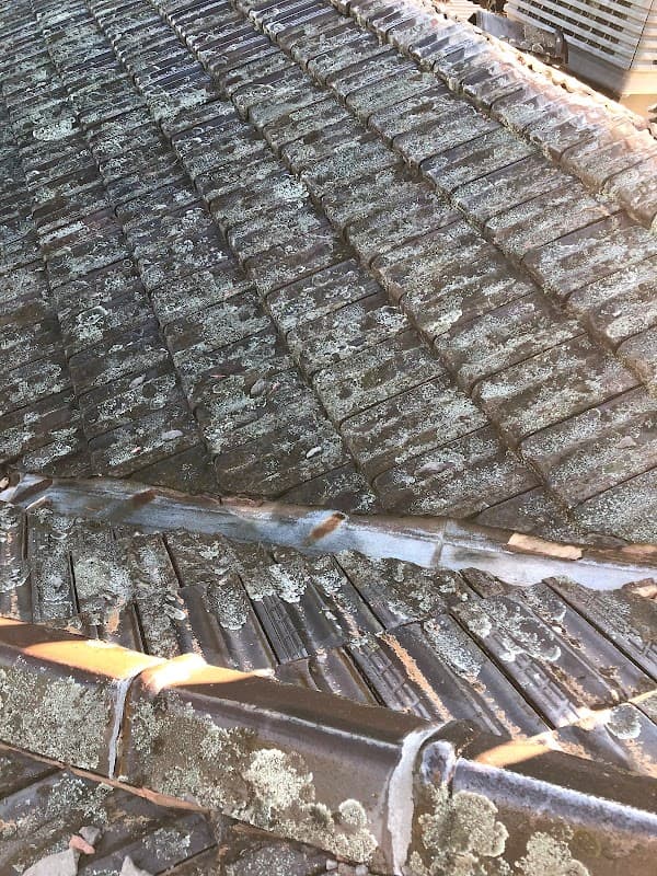 Ross the Roofer project 3