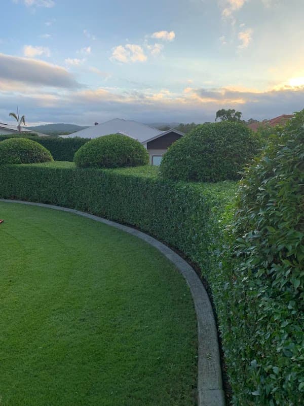 Selva Lawns & Gardens project 1