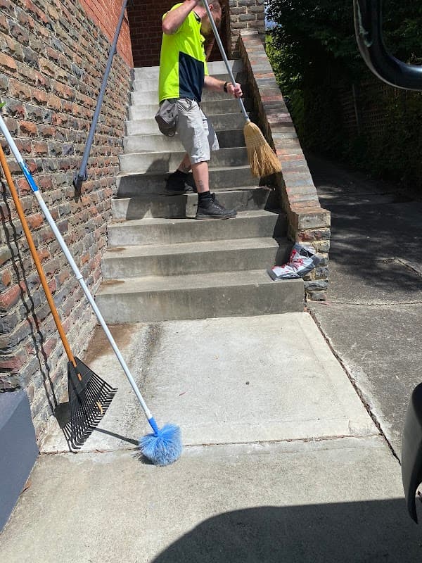 Shaggy Commercial Cleaning Services cover