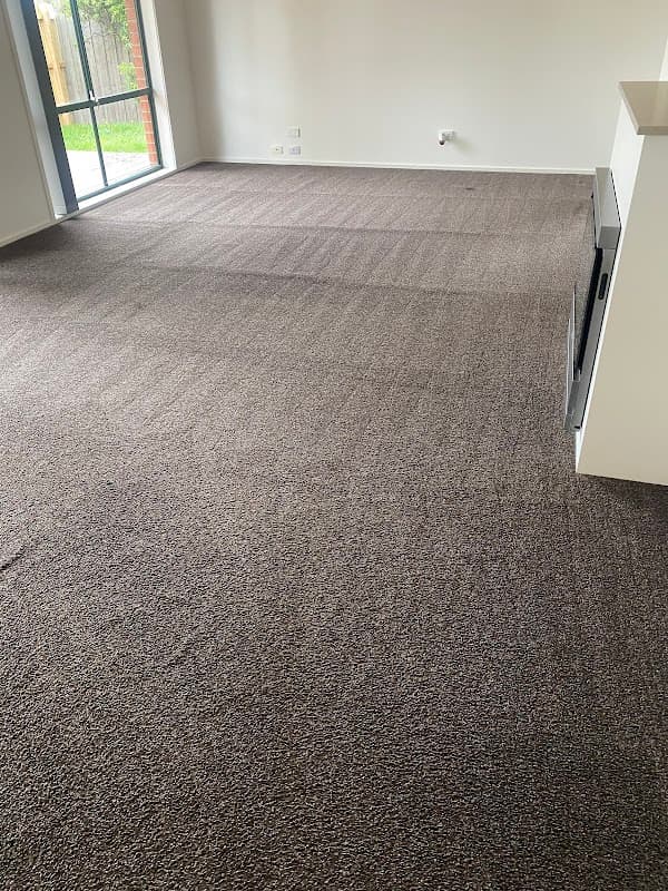 Shelly smart cleaning services cover