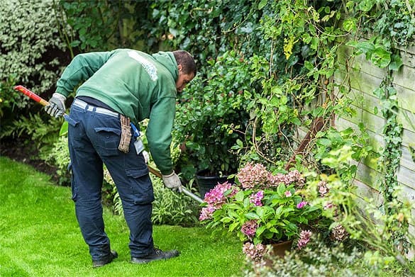 Shiny Handy People - Cleaning, Gardening & Handyman Services project 3