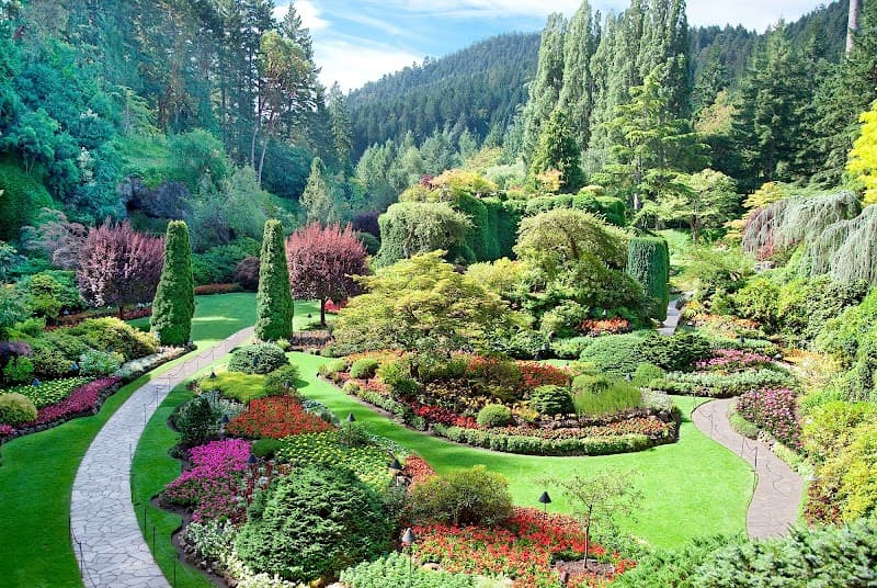 Silverfern Landscaping project 1