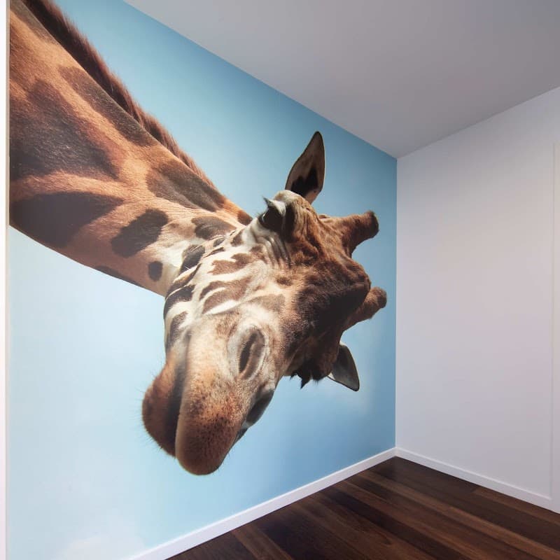 Simco Decorating Master Painters project 4