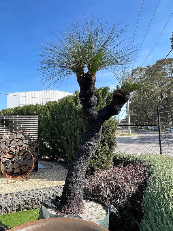 Simon Rosa Landscaping project 3