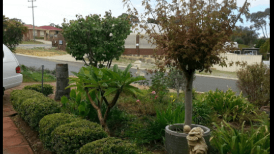 Sparkle Gardening Services