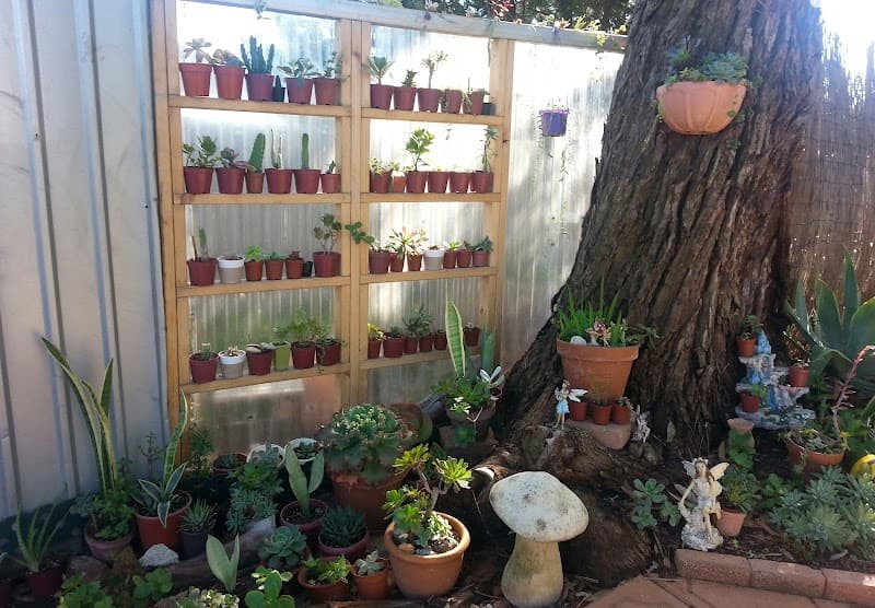 Sparkle Gardening Services project 3