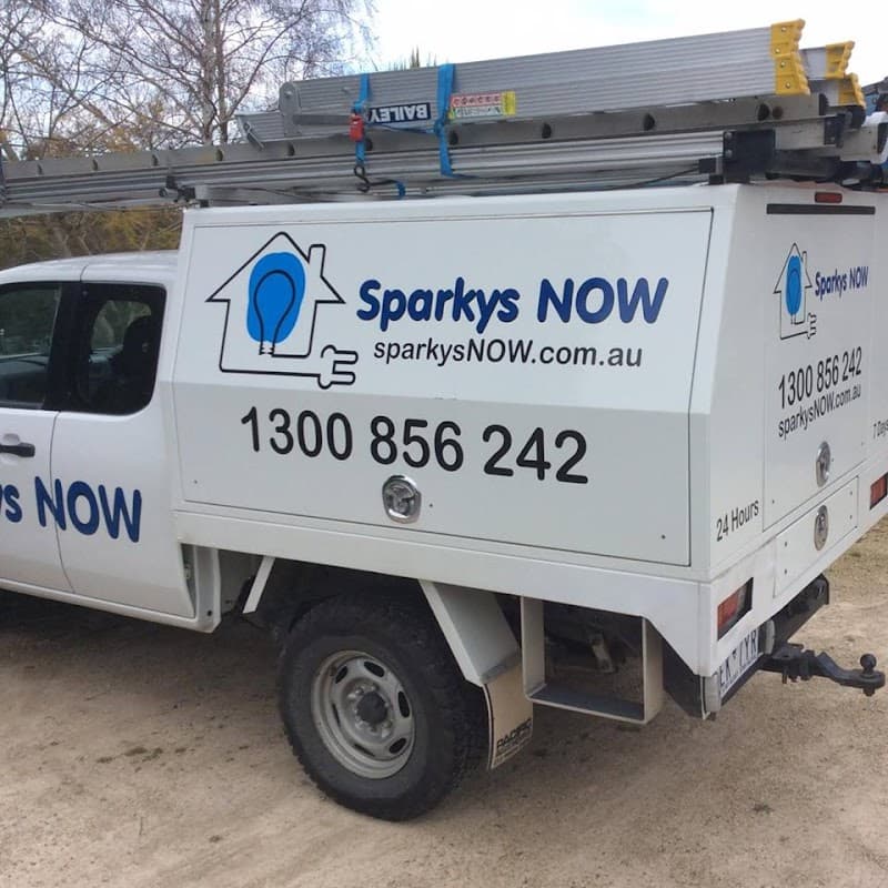 Sparkys Now project 1
