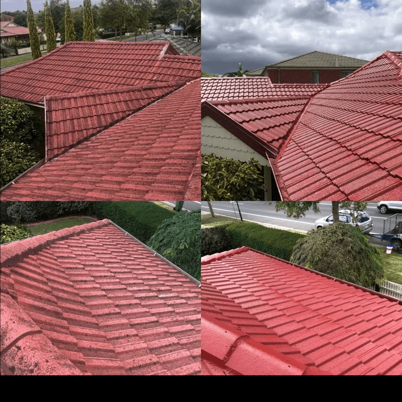 Spic And Span Roof Restoration project 2