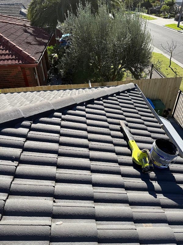 Spic And Span Roof Restoration project 3