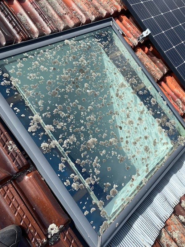 Spotless Solar Care project 4