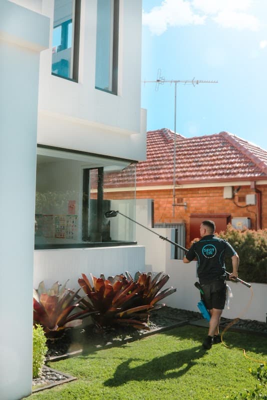 SpotOn Window, Gutter and Pressure Cleaning - Softwash project 5