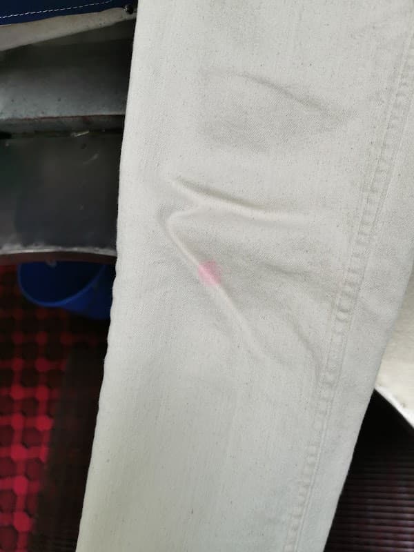 Status Dry Cleaners project 4