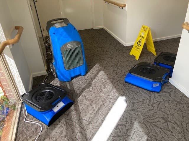 STB Cleaning Services cover