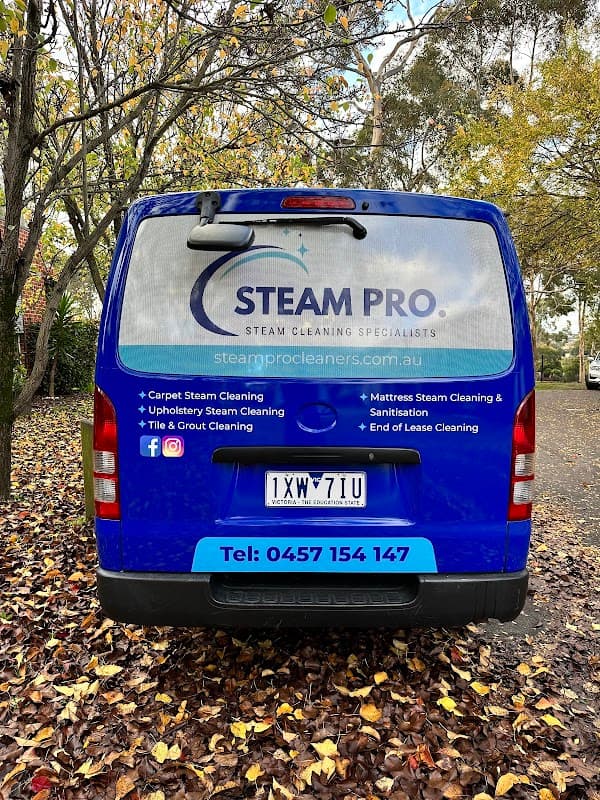 SteamPRO | Best Carpet Steam Cleaning Services | Upholstery Cleaning | Tile & Grout Cleaning Services project 3