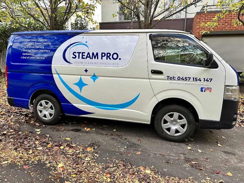 SteamPRO | Best Carpet Steam Cleaning Services | Upholstery Cleaning | Tile & Grout Cleaning Services project 4