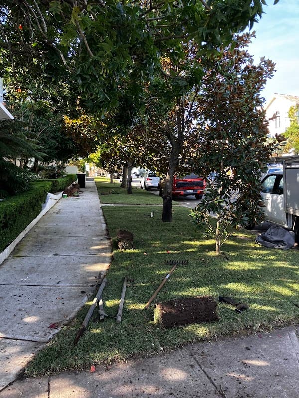 Sublime Gardens and Permaculture project 4